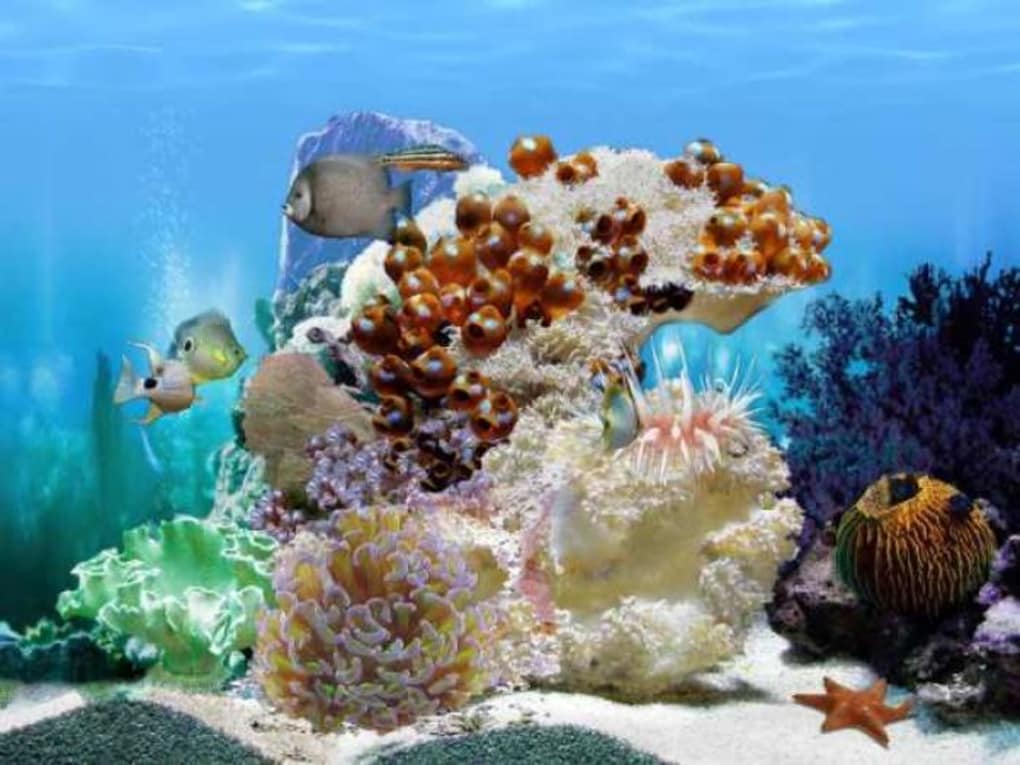 Amazing 3D Aquarium - Descargar