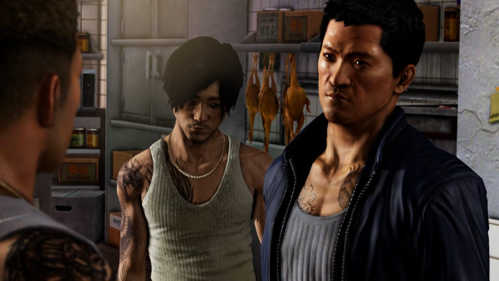 Sleeping Dogs - Download