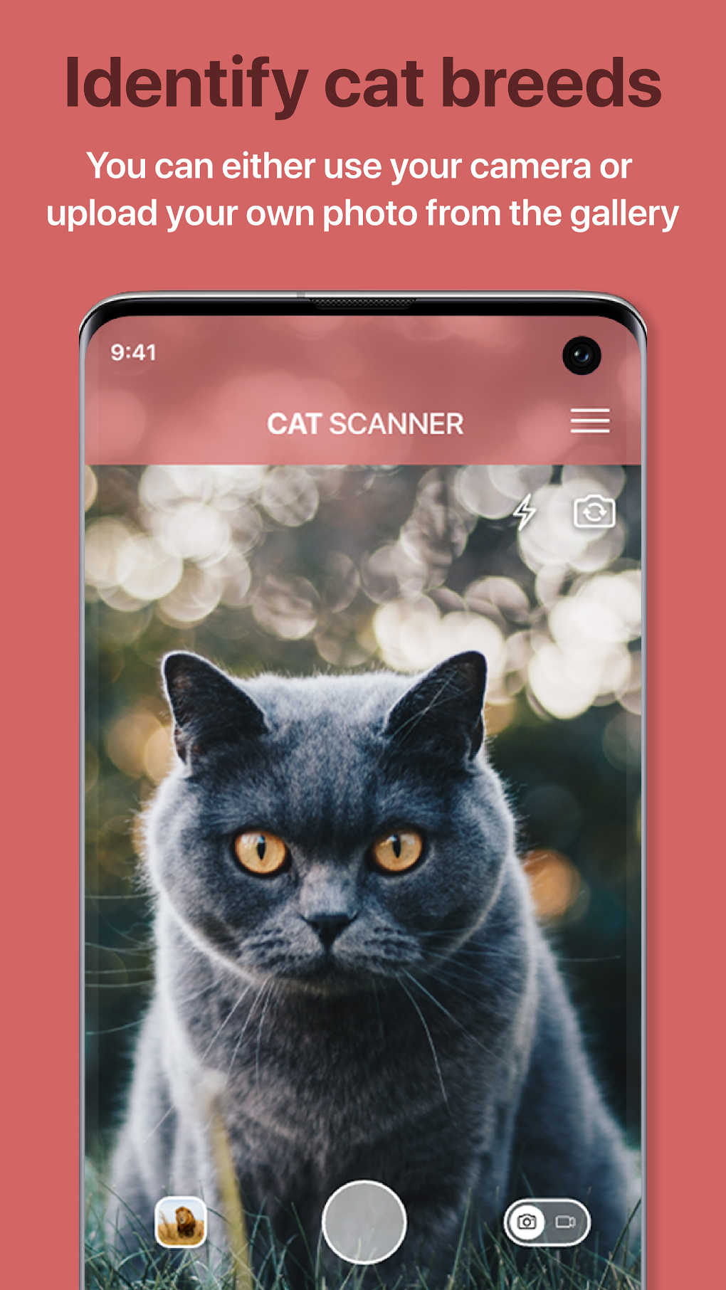 Cat Scanner: Breed Recognition APK для Android — Скачать