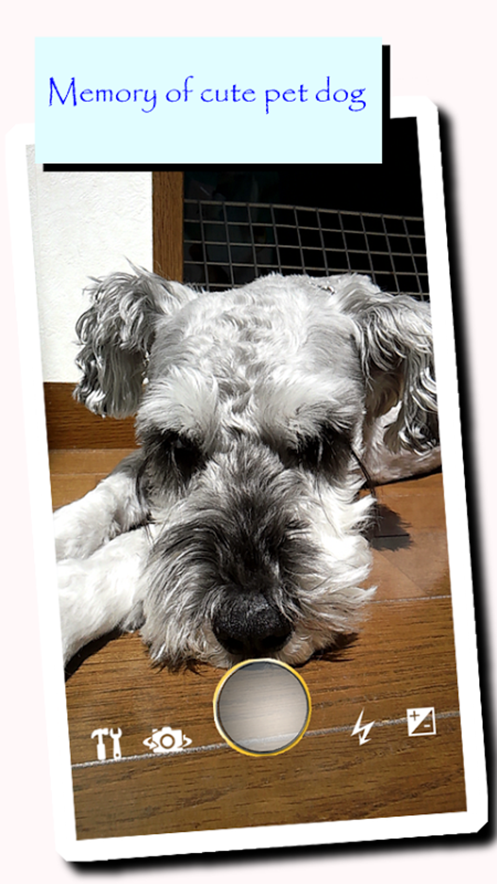 No Sound Camera【Silent Camera】 APK for Android Download