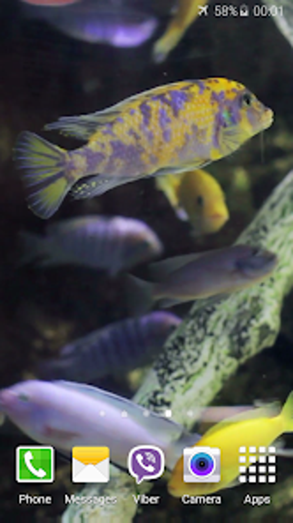 Aquarium HD Video Wallpaper for Android - Download