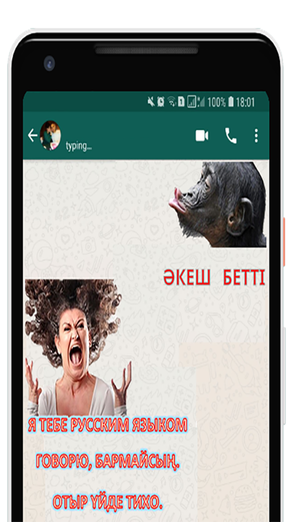 StickerKZ - казахские стикеры для Android — Скачать