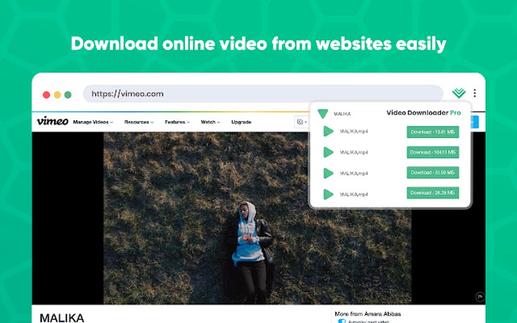 Video Downloader Pro for Google Chrome Extension Download