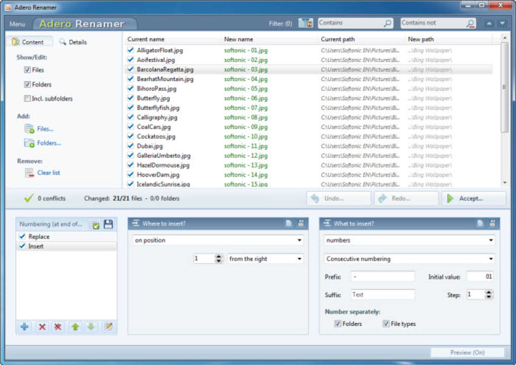 download the last version for windows Gillmeister Rename Expert 5.31