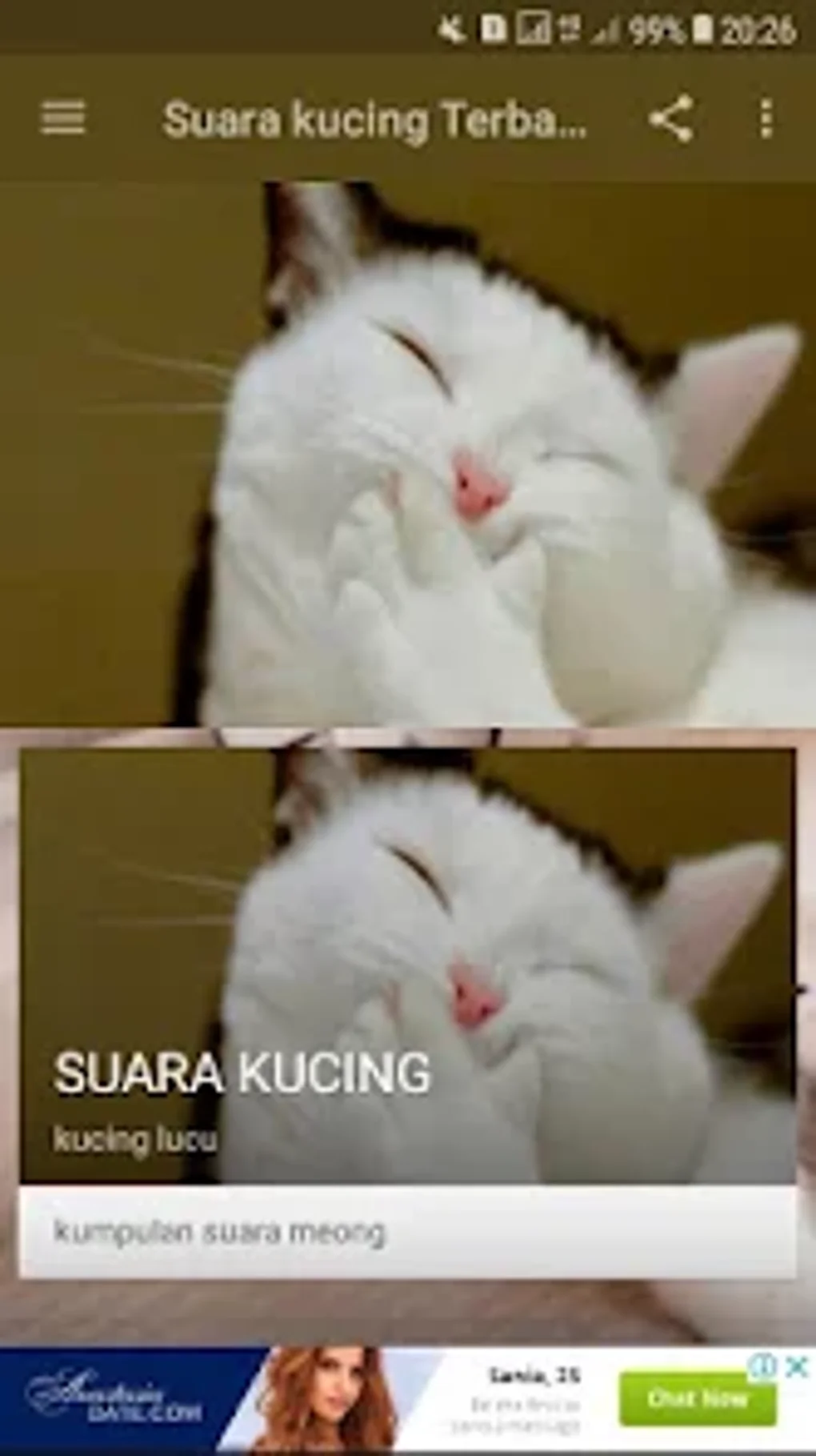 Suara Kucing Terbaru Offline para Android - Download