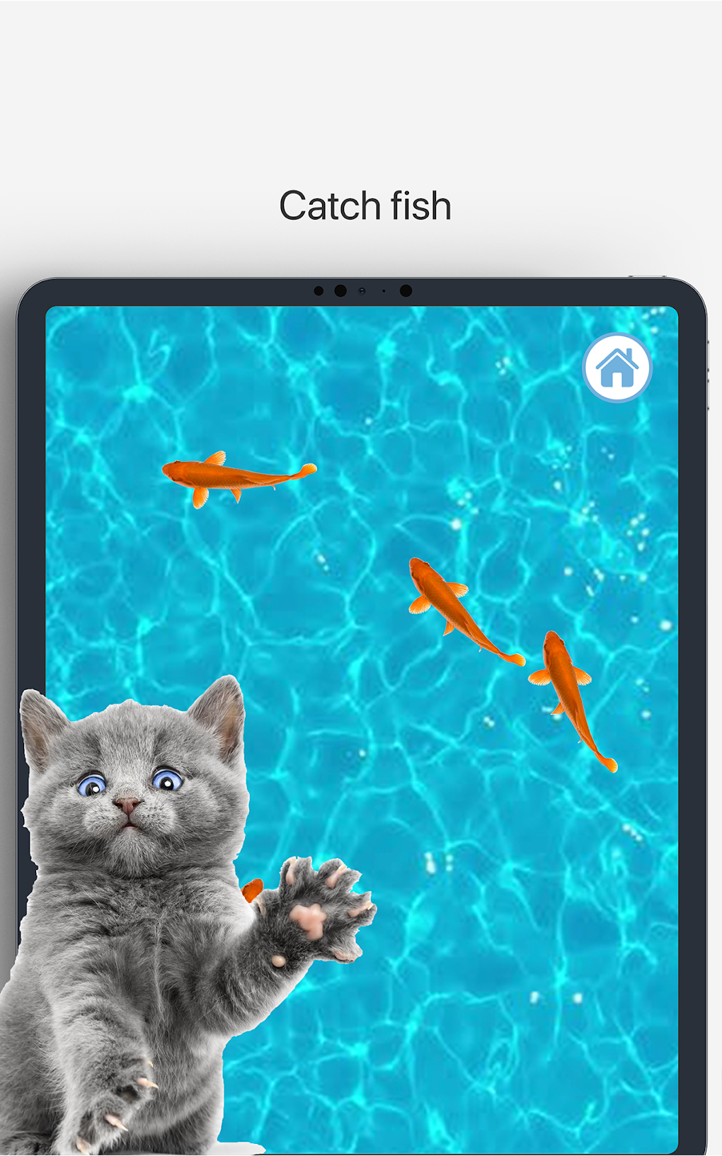 Meow - Cat Toy Games for Cats для Android — Скачать