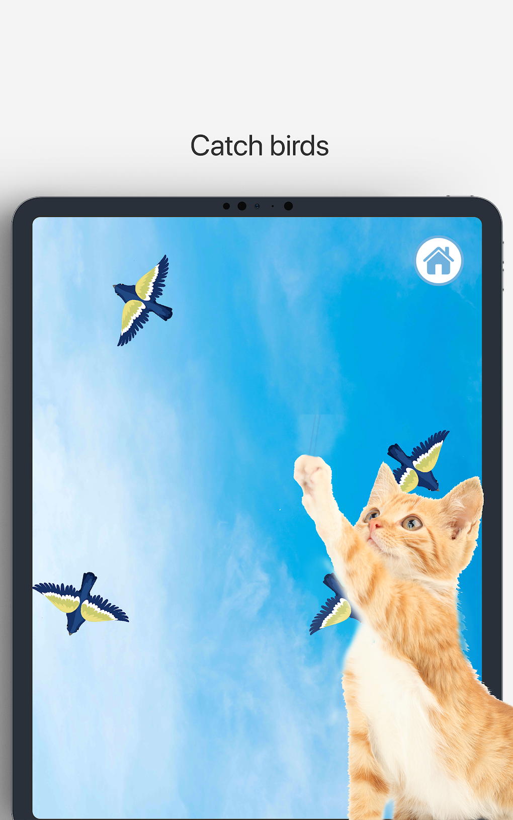 Meow - Cat Toy Games for Cats для Android — Скачать