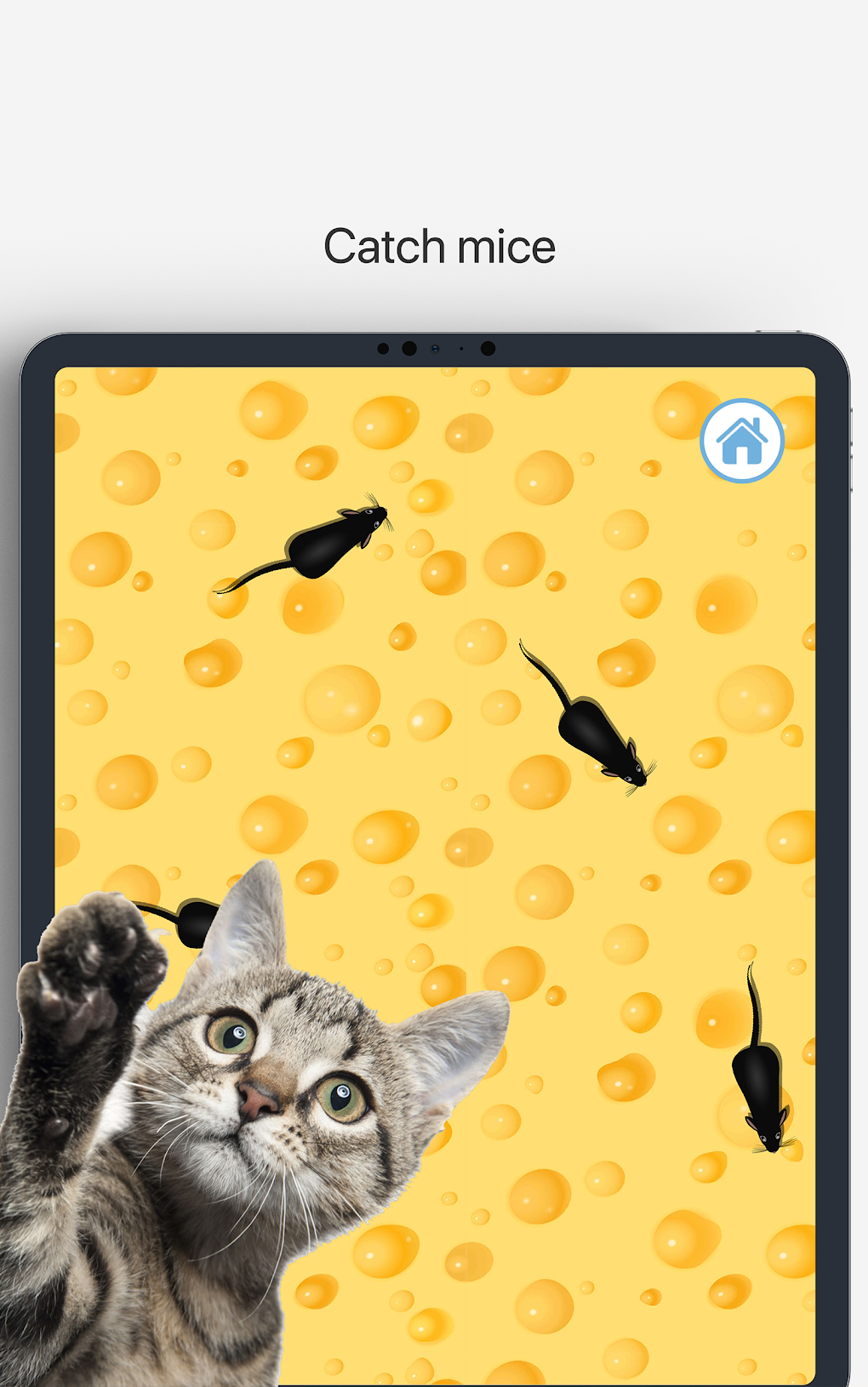 Meow - Cat Toy Games for Cats для Android — Скачать