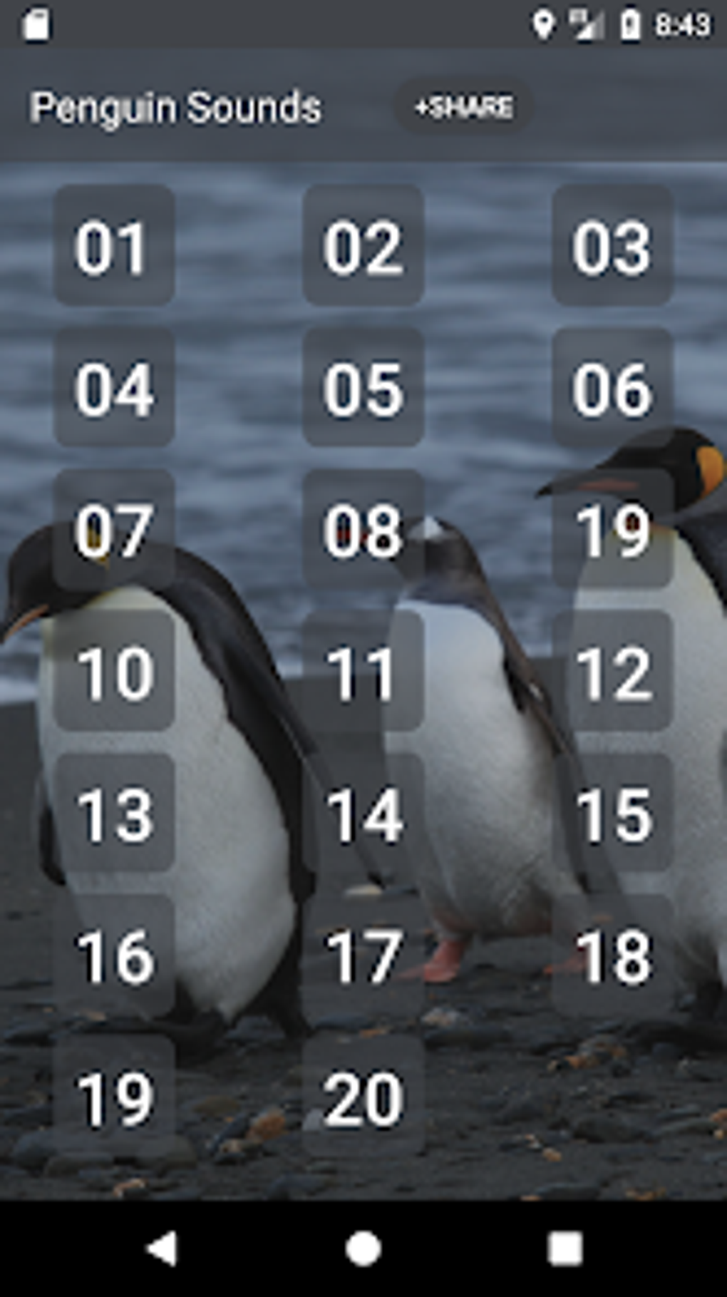 Penguin Sounds для Android — Скачать