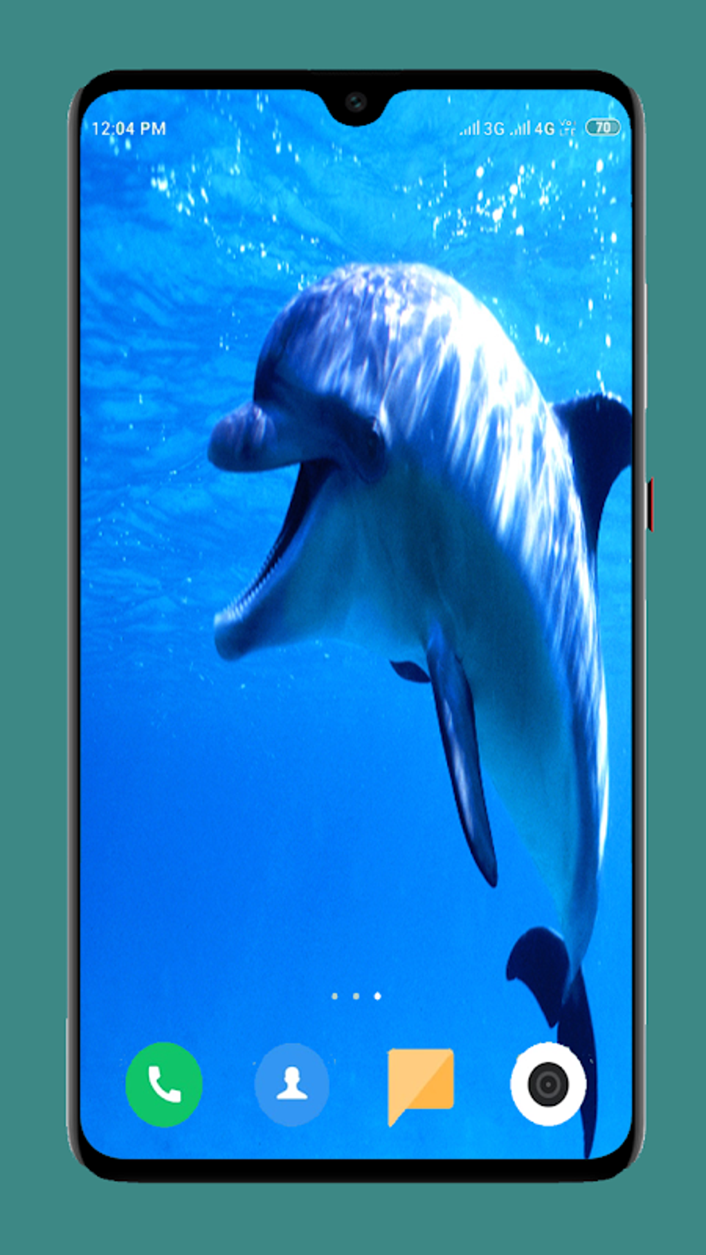 Dolphin Wallpaper HD APK для Android — Скачать