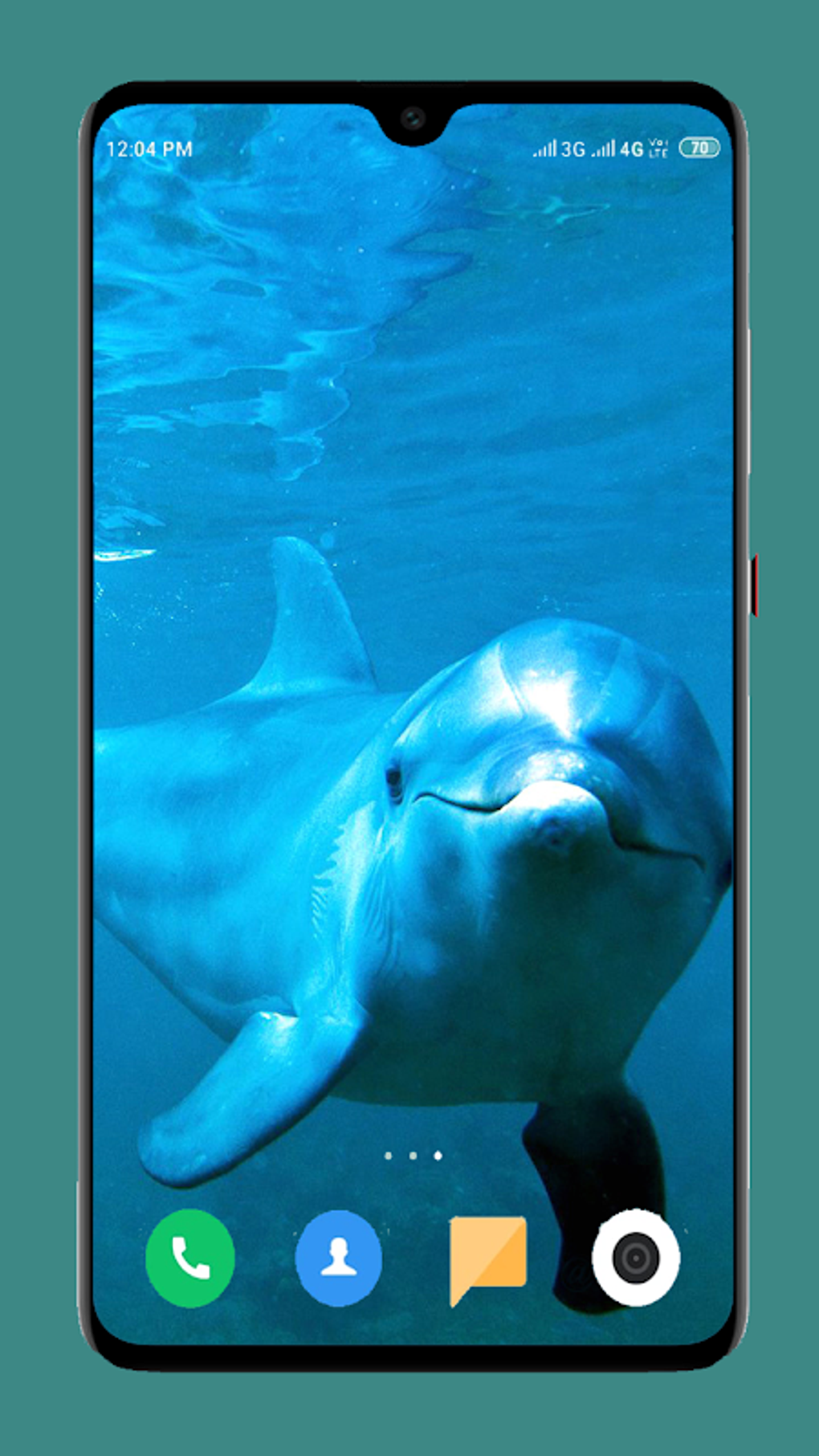 Dolphin Wallpaper HD APK для Android — Скачать