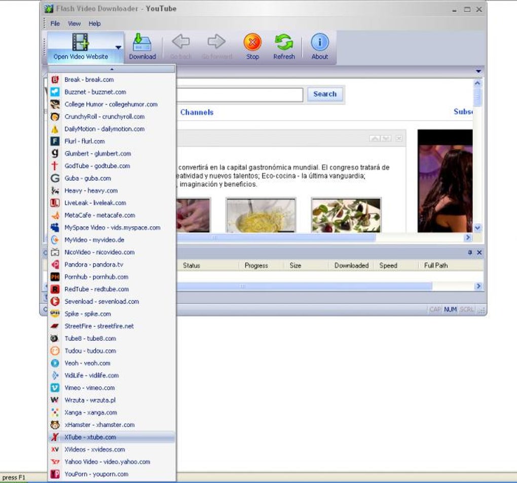 Flash Video Downloader Download