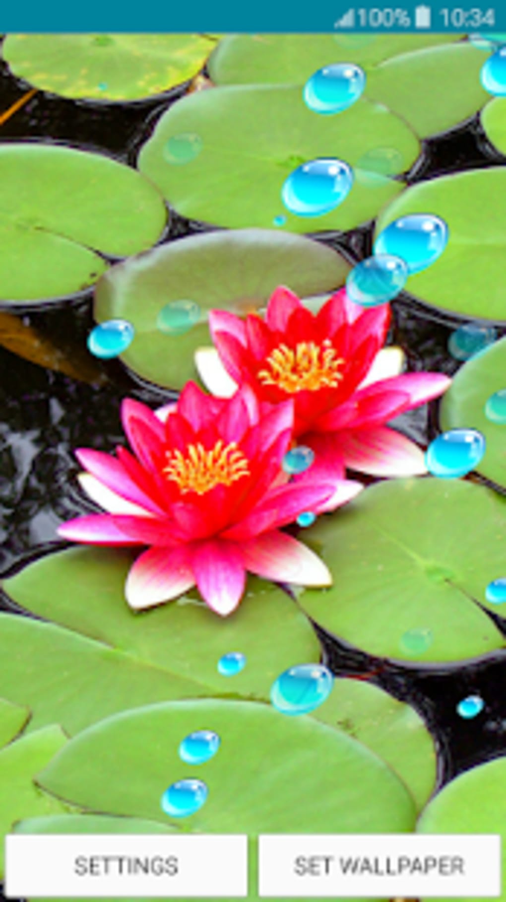 Live Wallpapers Lotus APK for Android - Download
