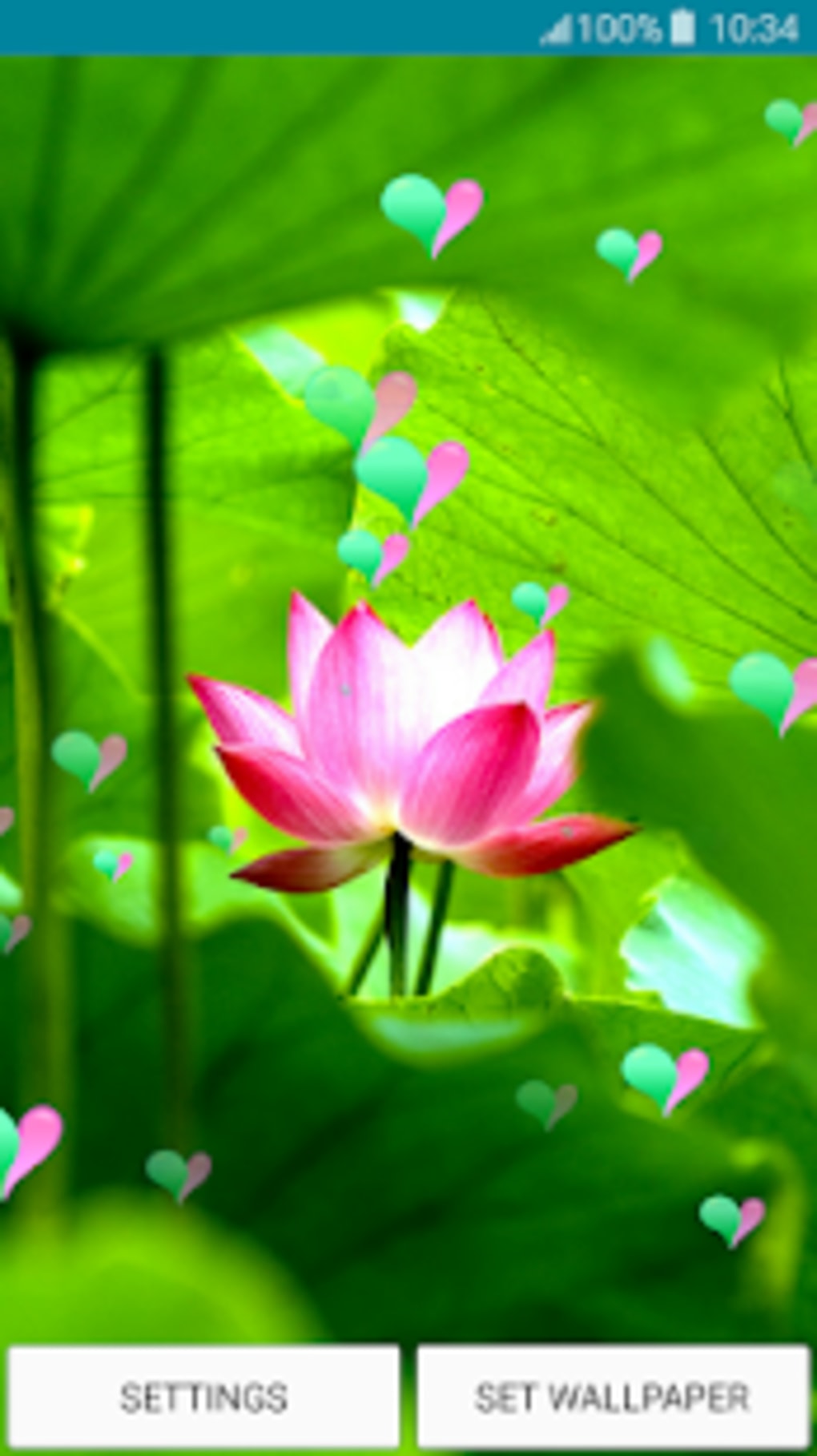 Live Wallpapers Lotus APK for Android - Download