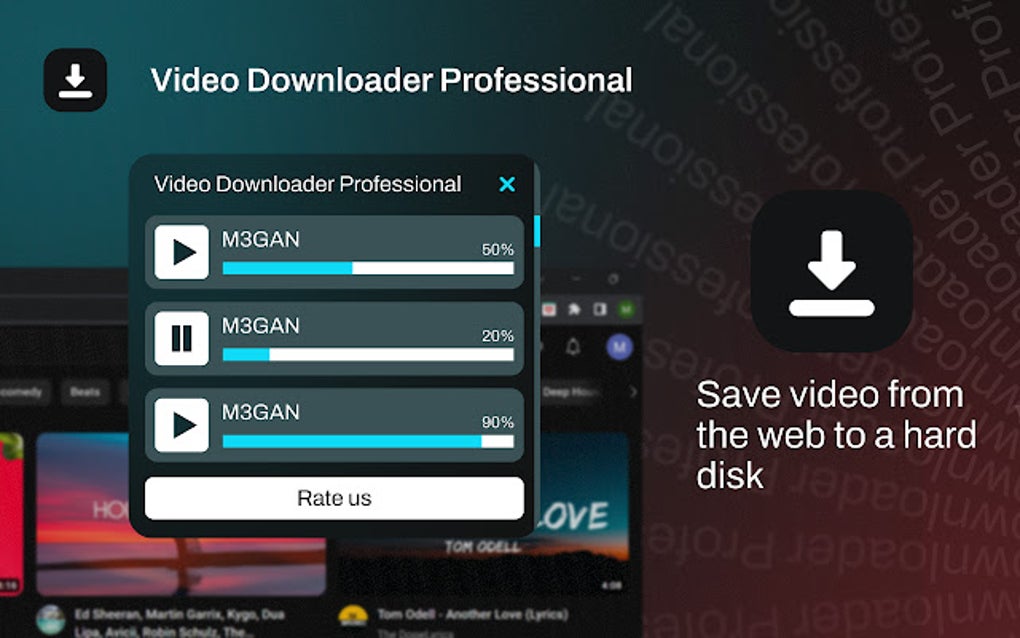 video downloader professional: