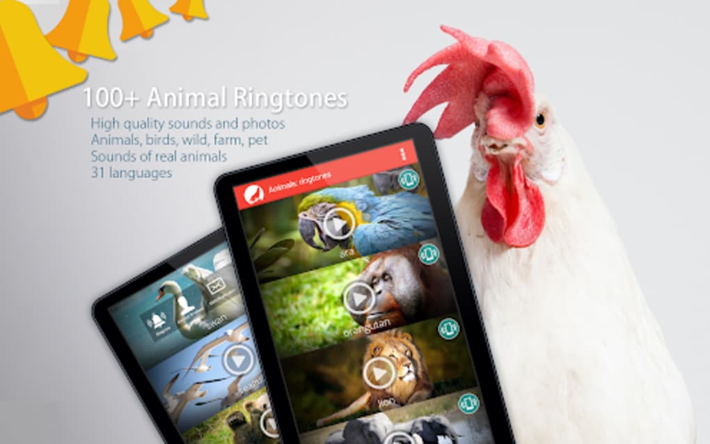 Animals: Ringtones APK for Android - Download