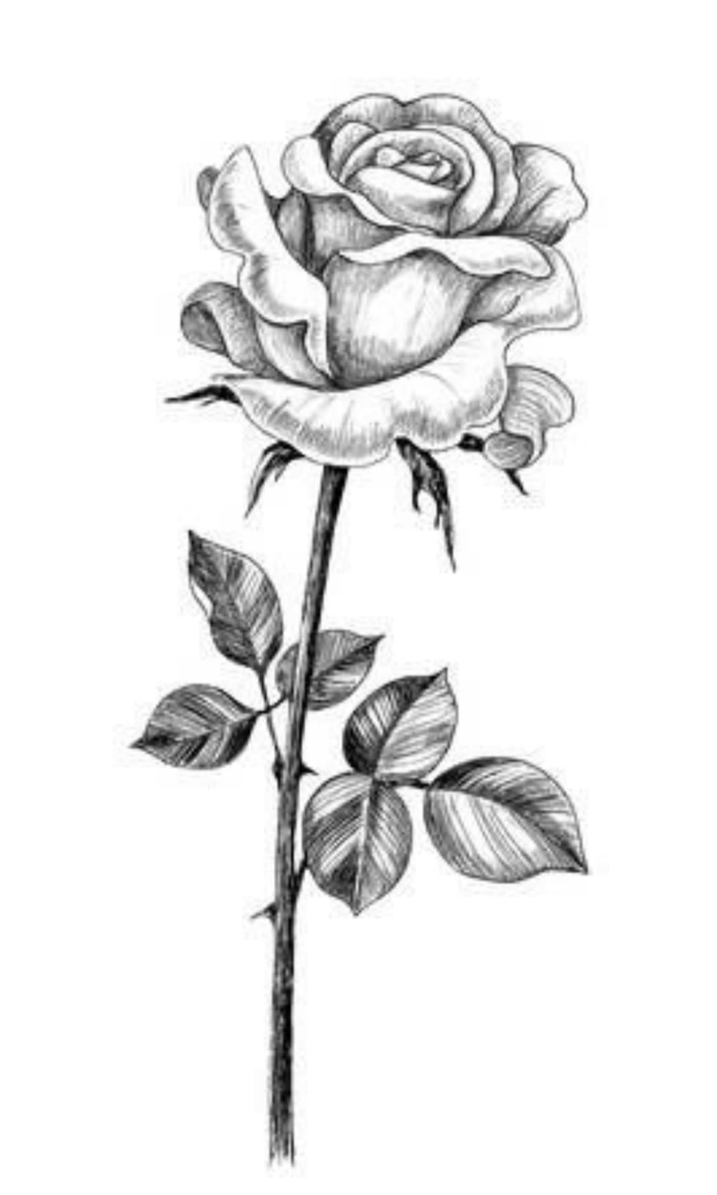 Easy Pencil Drawings Secrets and 39+ Beautiful Ideas For It - Full Bloom  Club-saigonsouth.com.vn