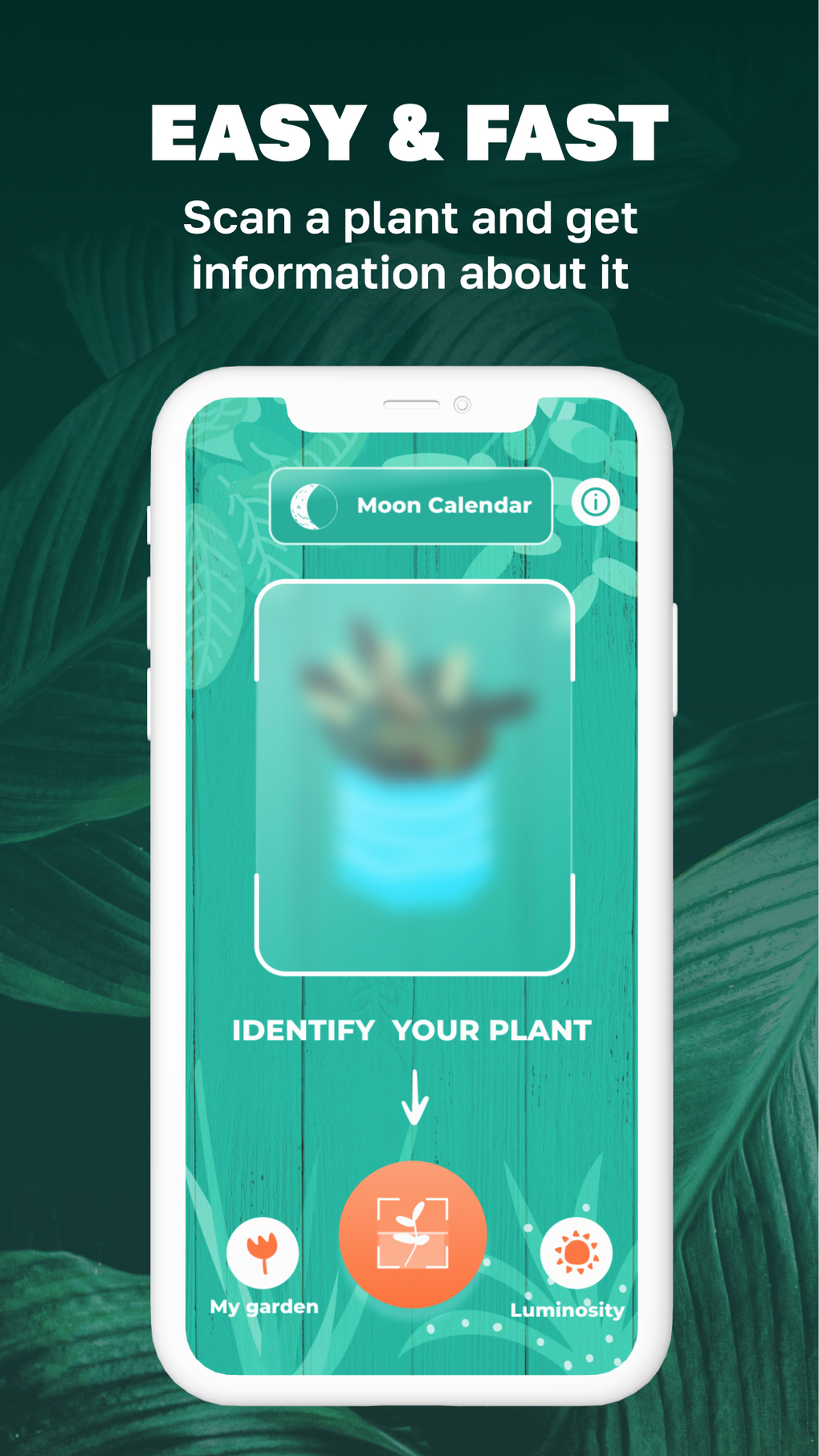 plant-tree-identification-id-for-iphone-download