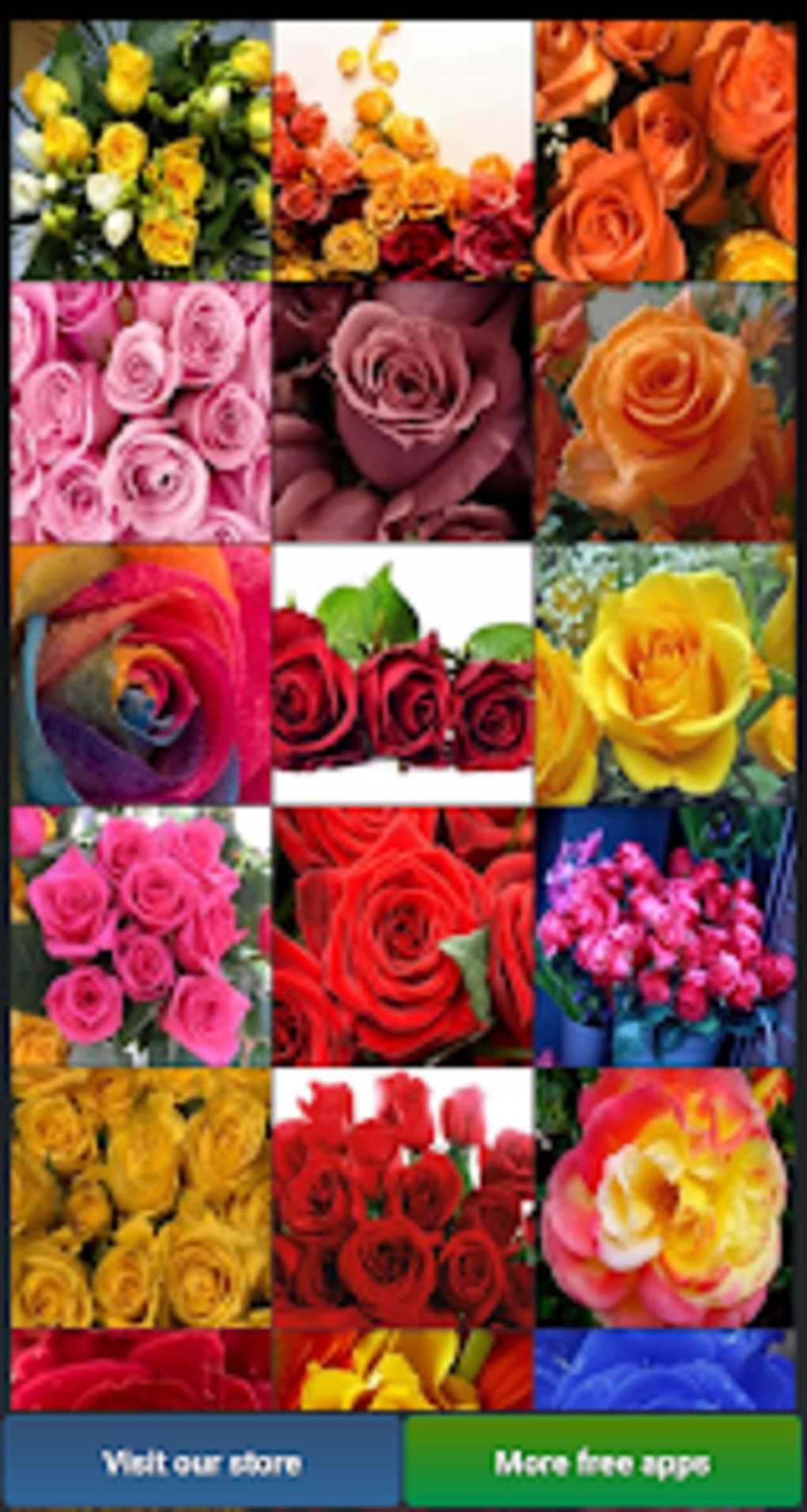 Beautiful Roses HD Wallpapers for Android - Download