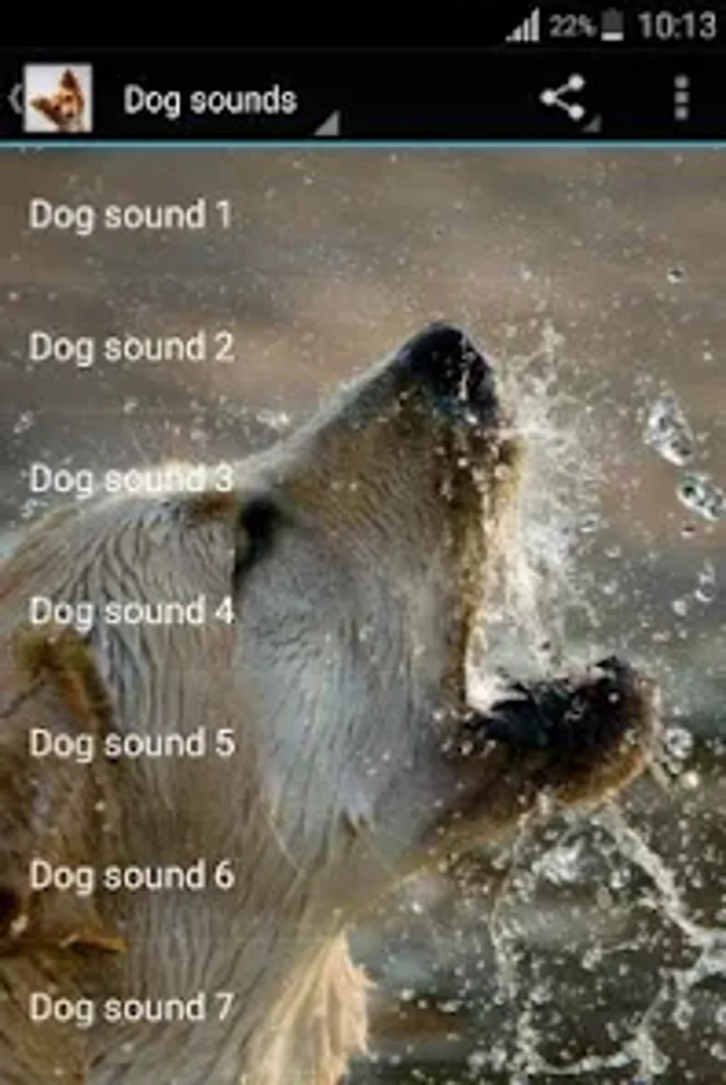 Dog sounds para Android - Descargar