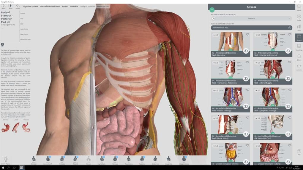 Anatomy app free