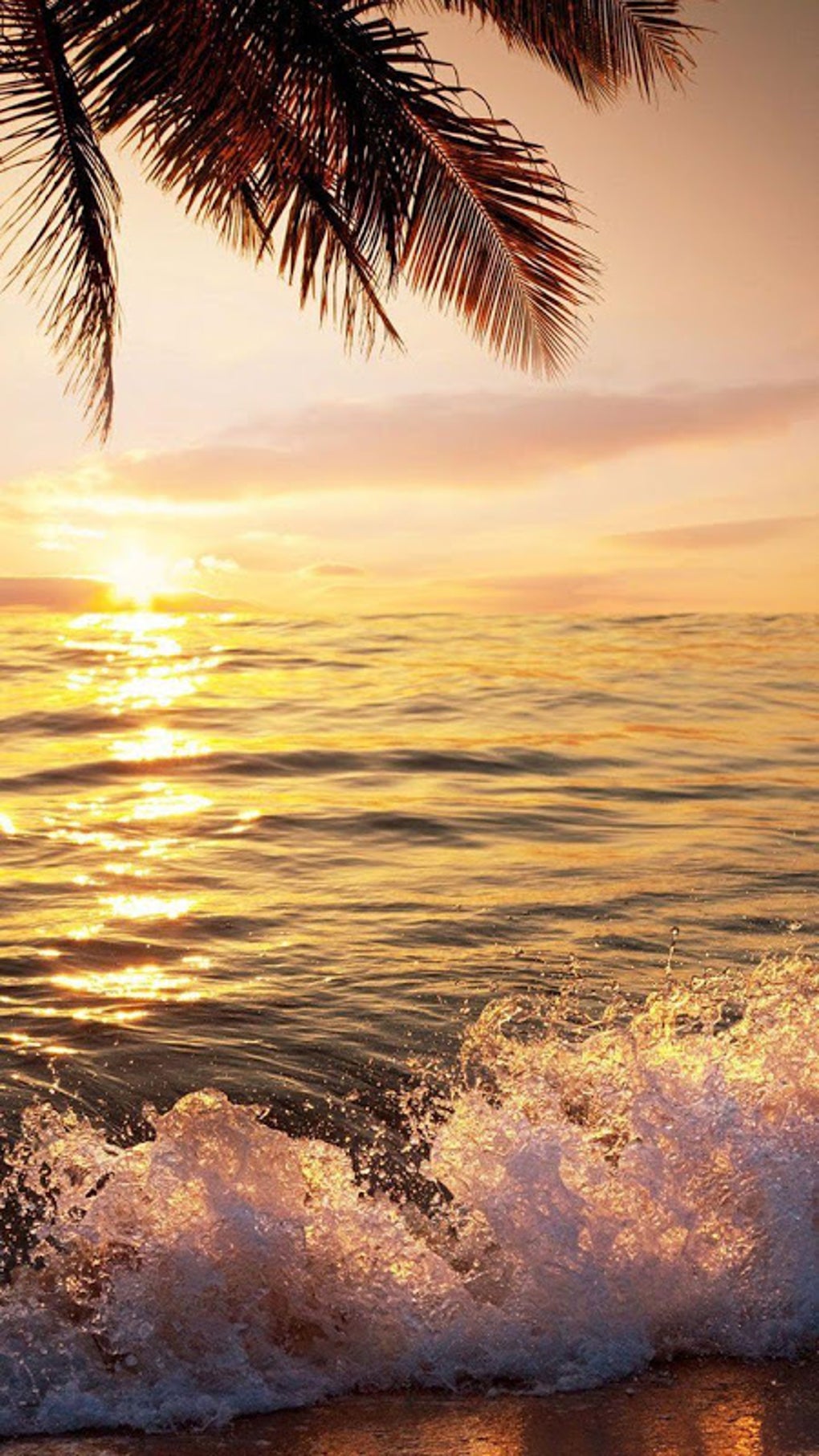 Beach Sunset Live Wallpaper APK для Android — Скачать