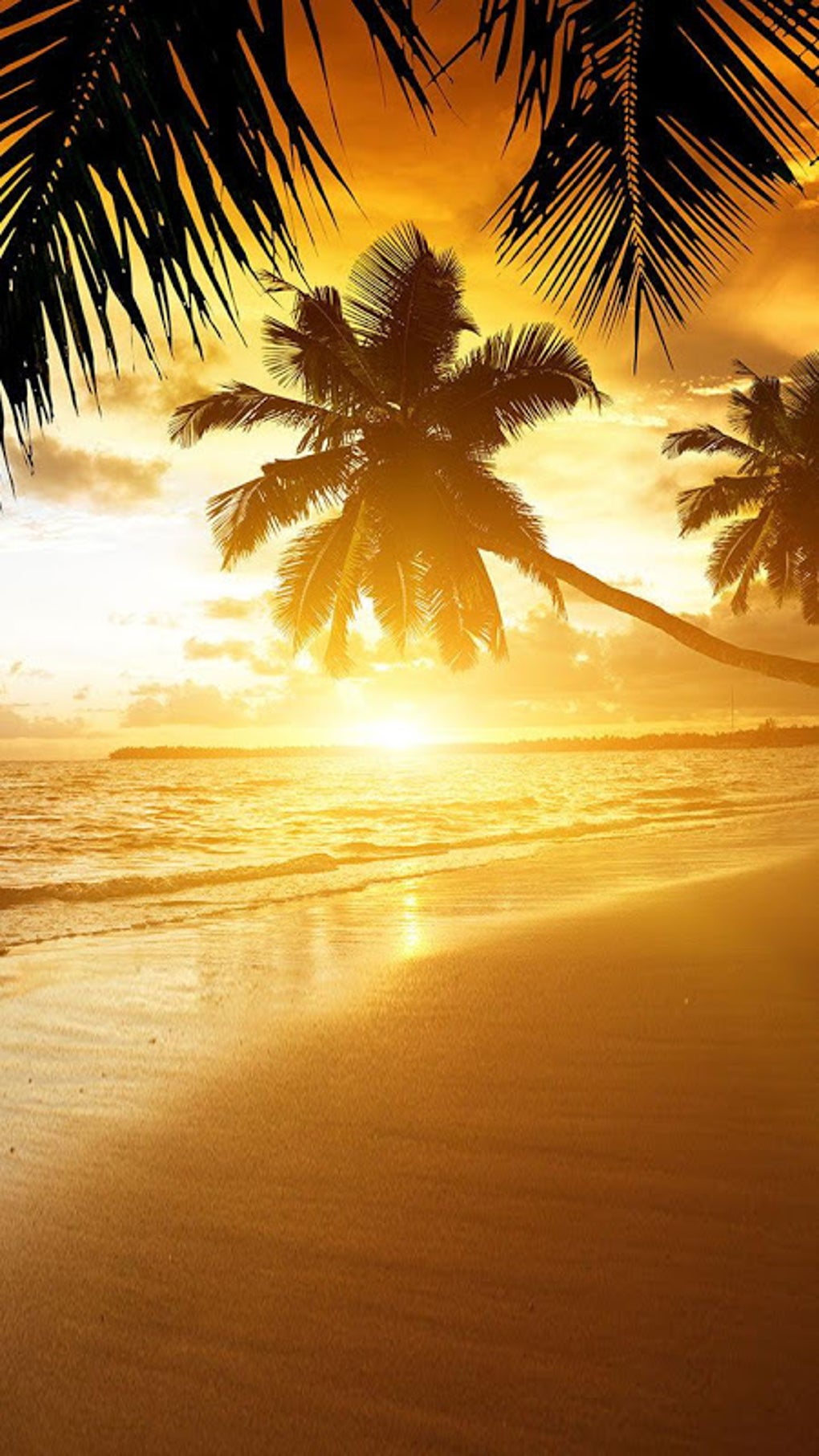 Beach Sunset Live Wallpaper APK для Android — Скачать