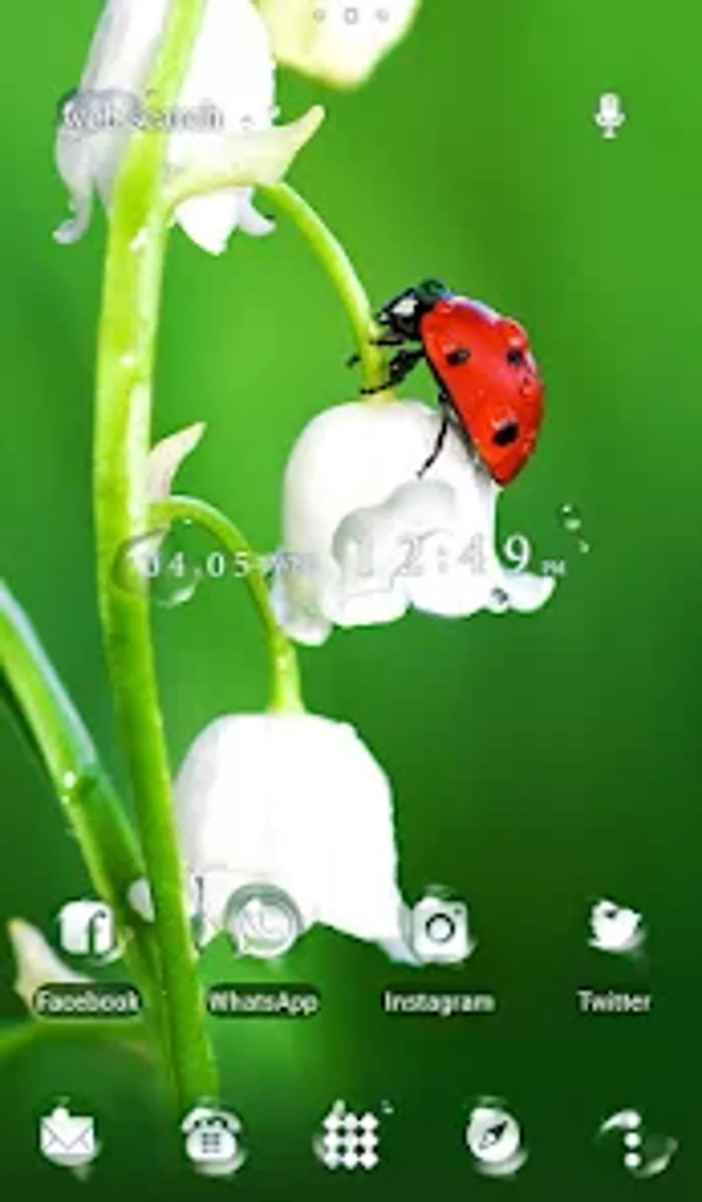 Ladybug Flower Theme HOME для Android — Скачать