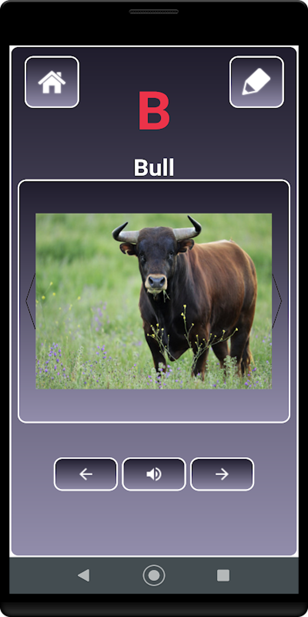 AtoZ Animal Name APK For Android Download