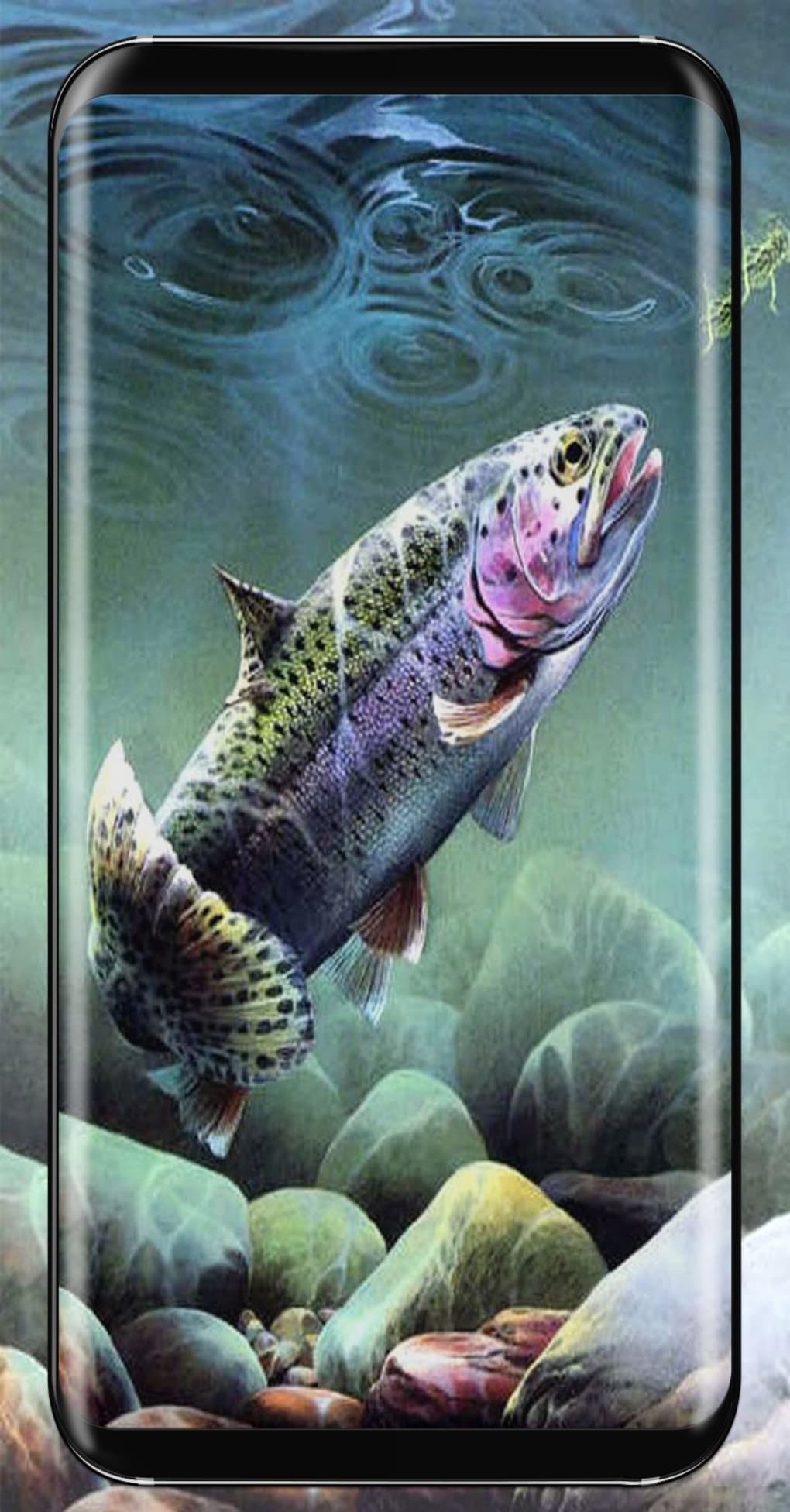 Morning Fish iPhone 11 australia lake silent morning HD phone wallpaper   Pxfuel