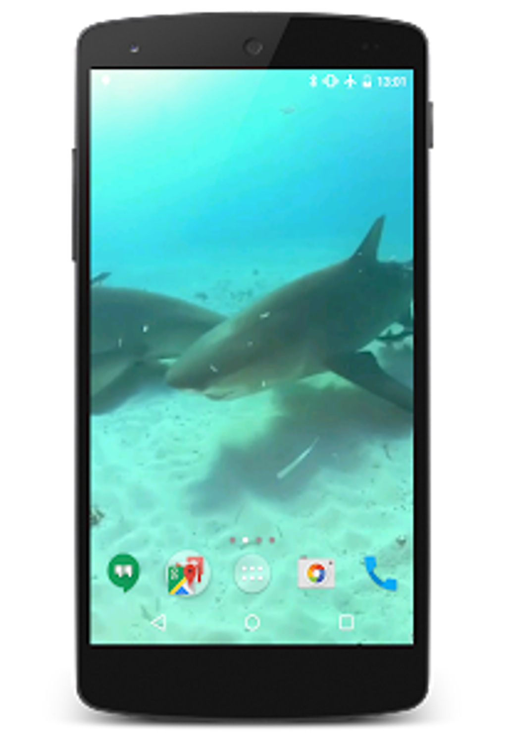android-sharks-video-live-wallpaper
