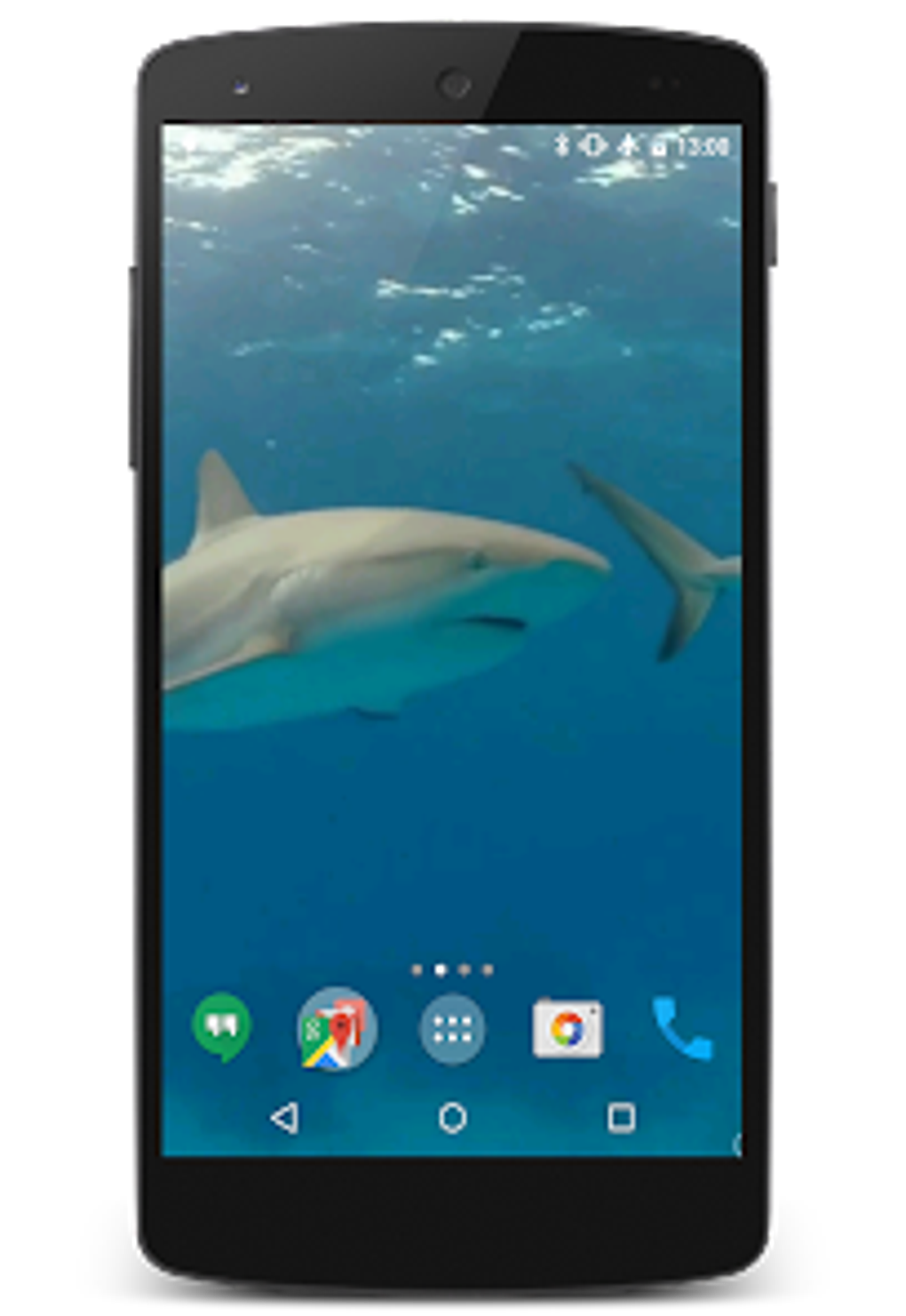 Sharks Video Live Wallpaper для Android — Скачать