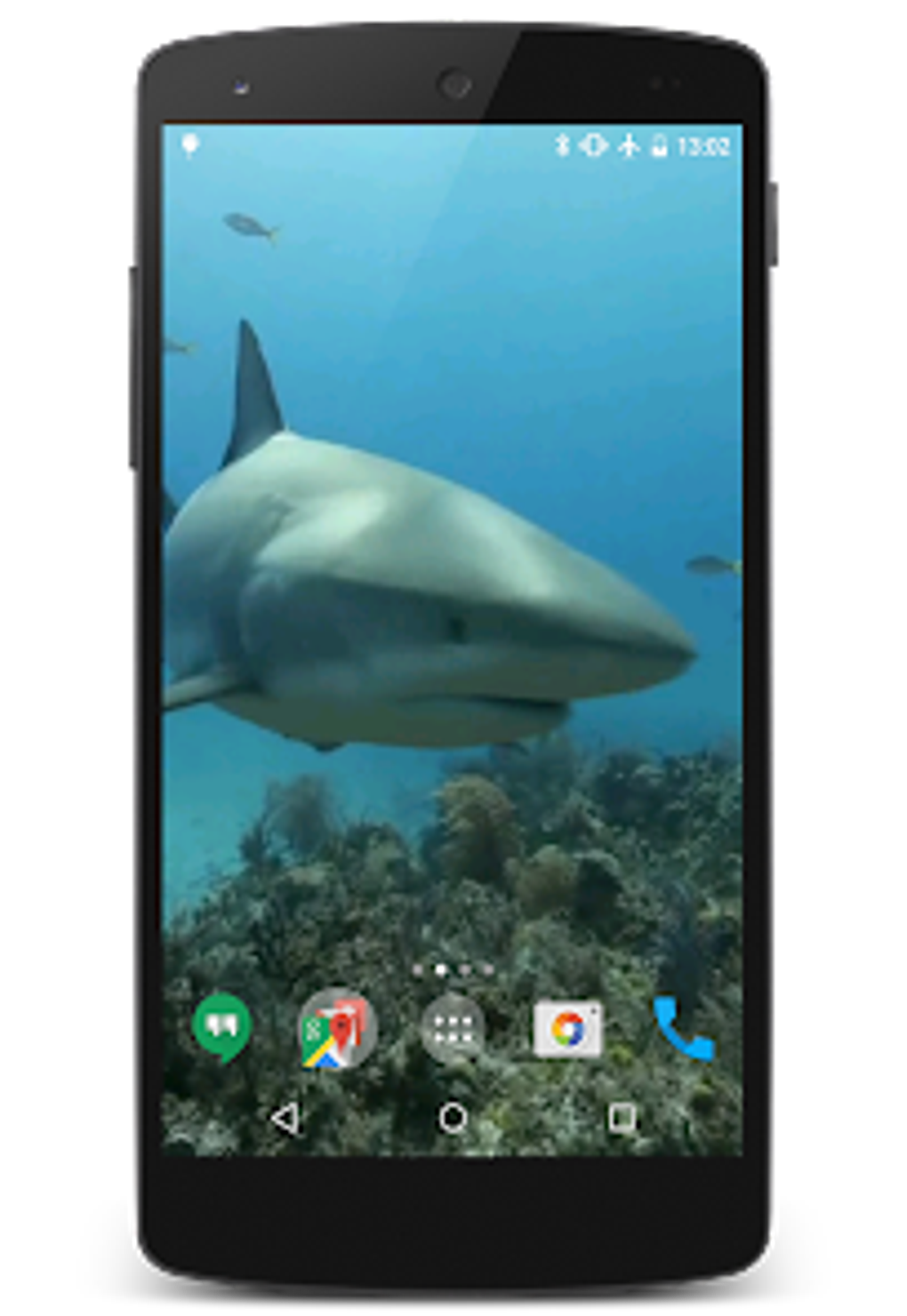 Sharks Video Live Wallpaper для Android — Скачать