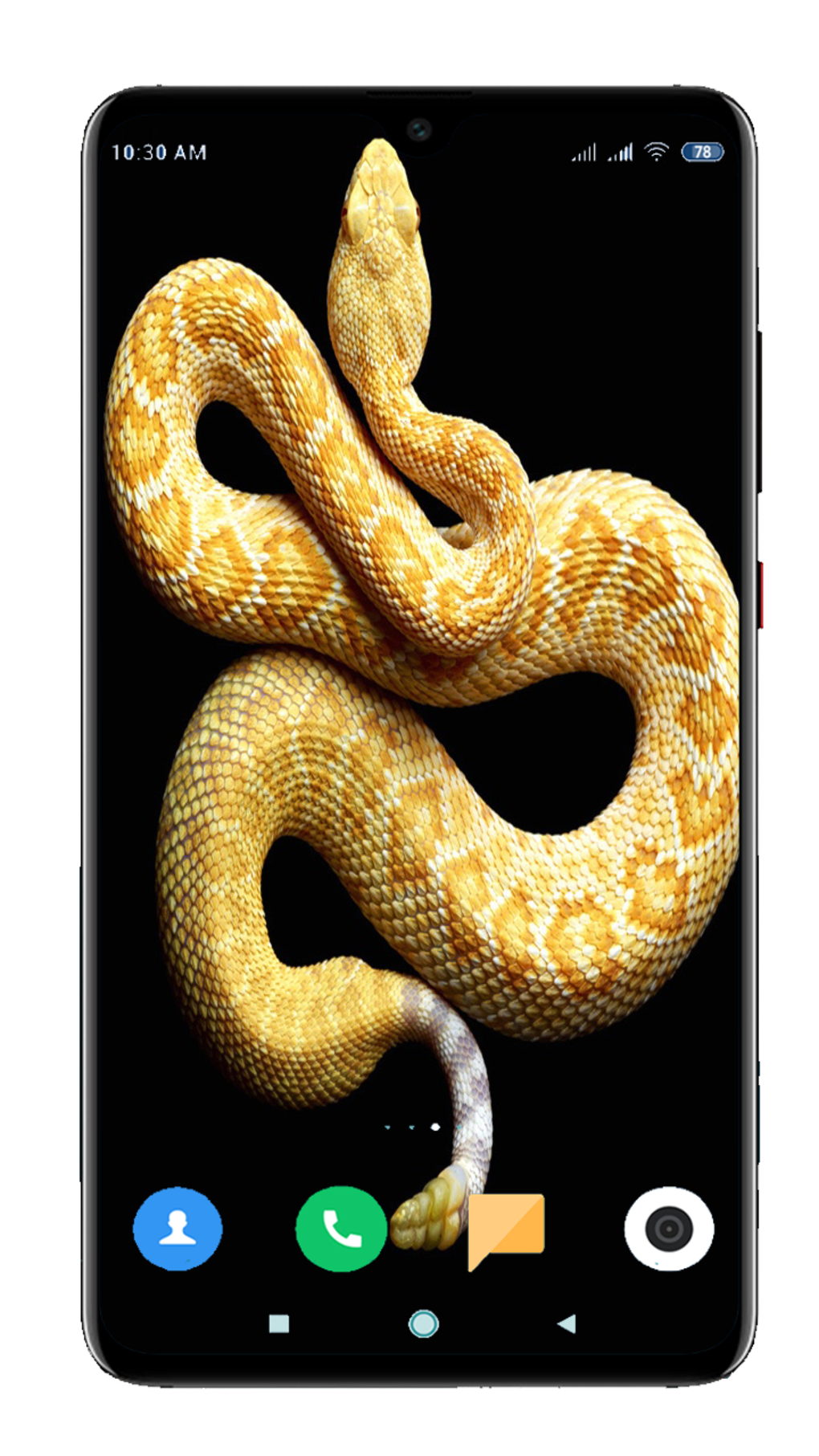 Snake Wallpaper HD APK cho Android - Tải về