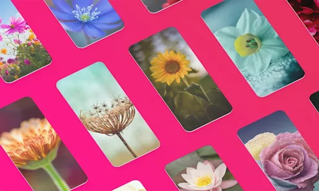 Cool Flower Wallpapers 4K HD for Android - Download