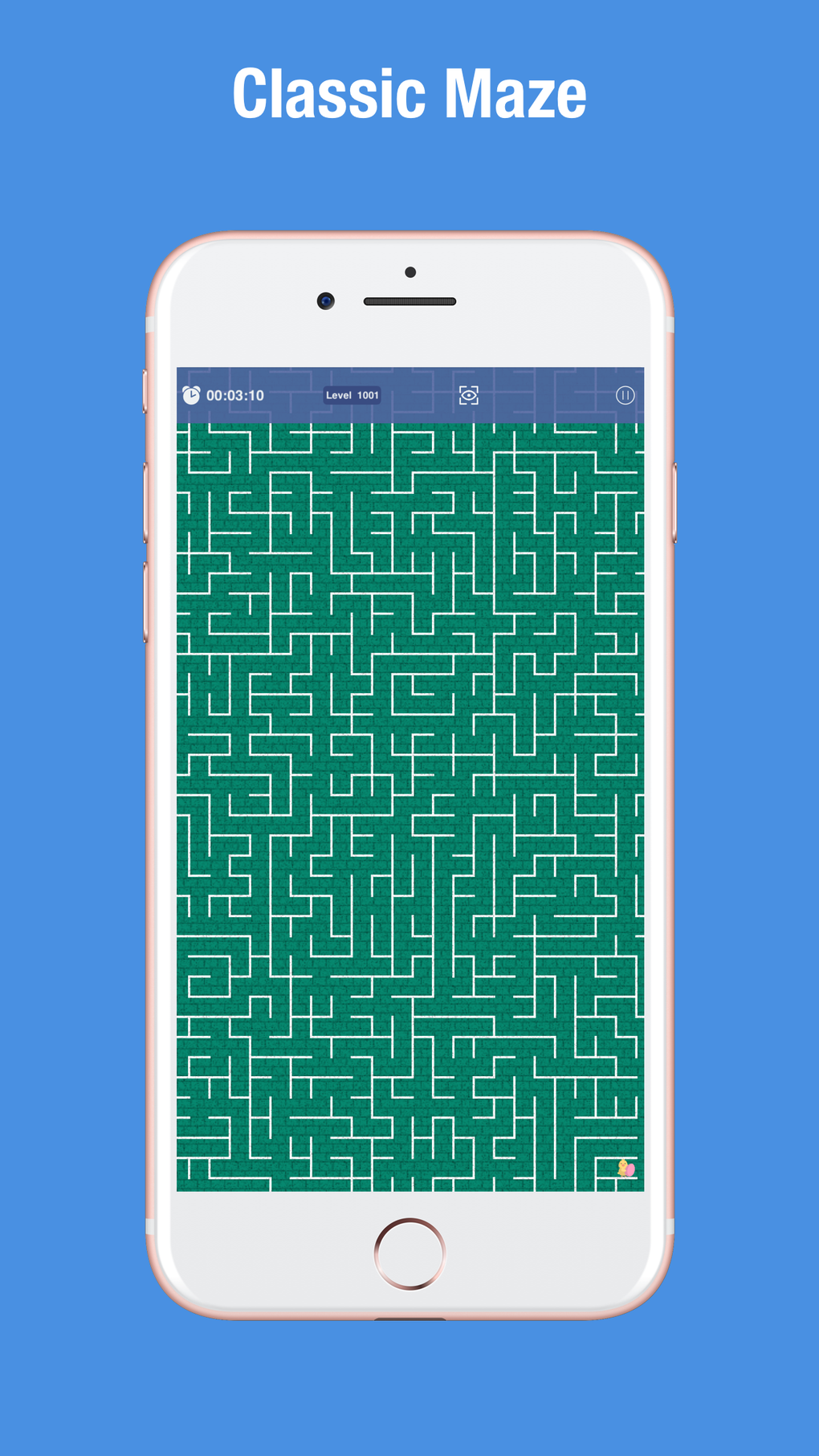 IPhone Classic Maze Game 10000 LVL 