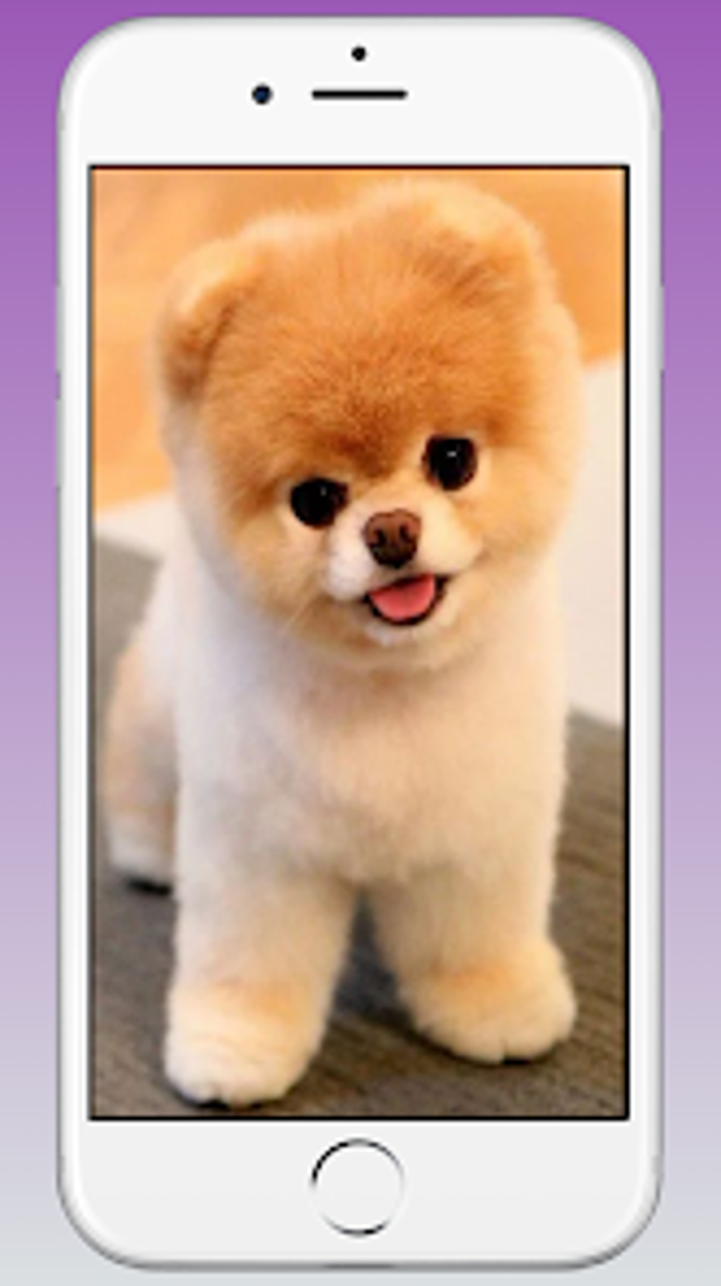Cute puppy dog wallpaper para android descargar
