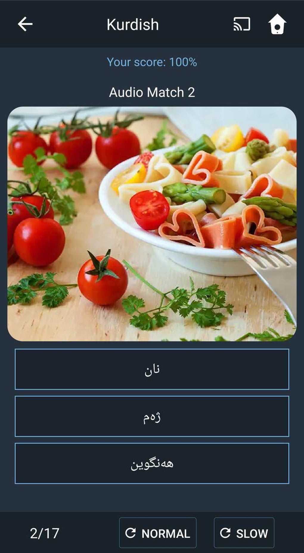 learn-kurdish-speak-kurdish-for-android-download