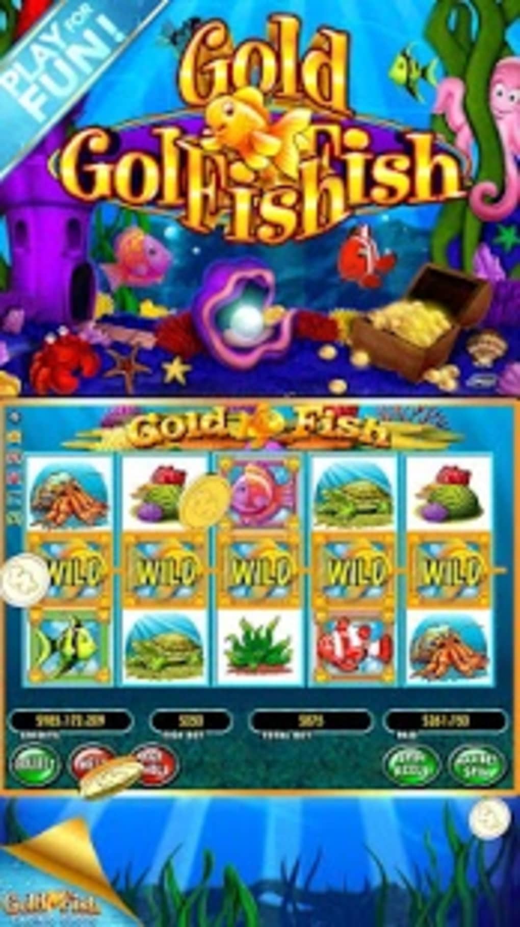 what online casino is like gold fish