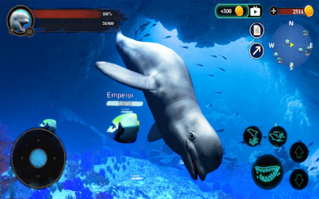 The Beluga Whale for Android - Download