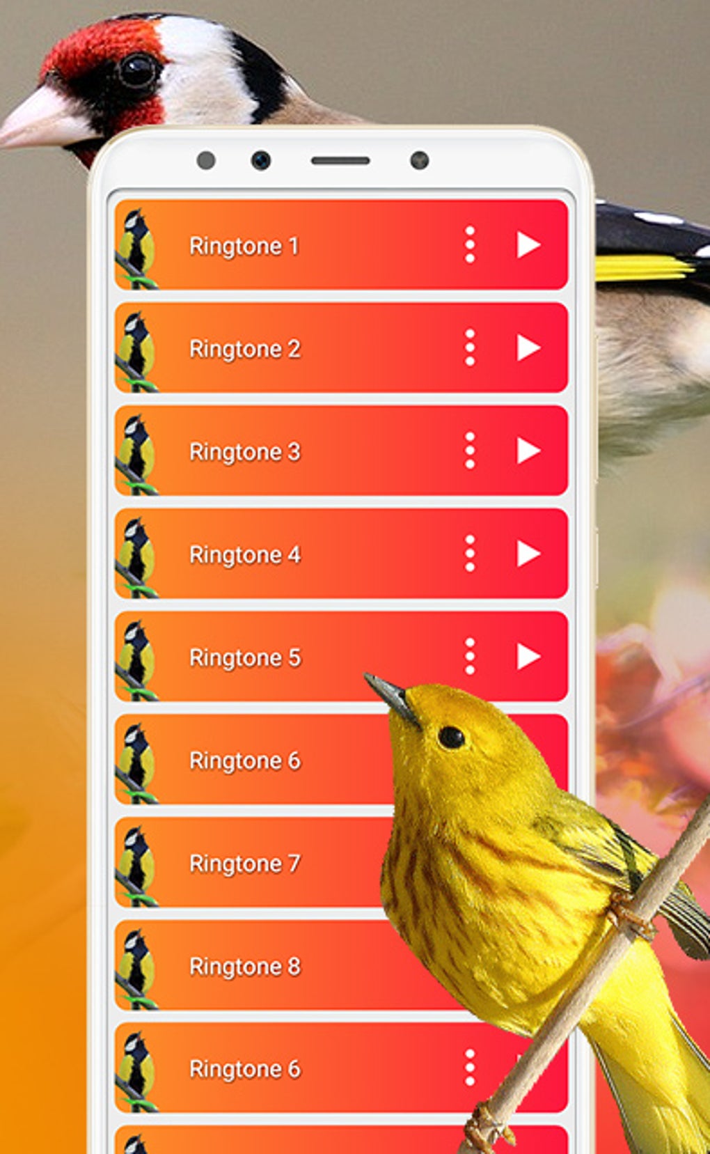 Bird Sounds Calls Ringtones for Android - Download