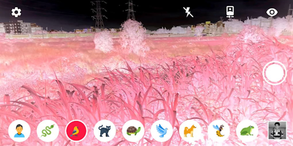 Animal Vision Simulator for Android - Download