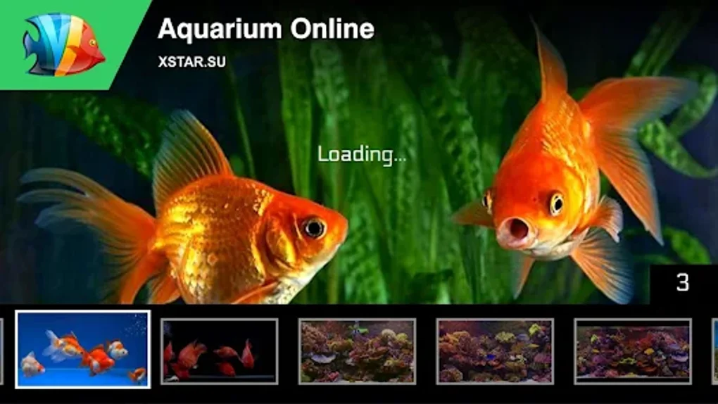 Aquarium Online for Android Download