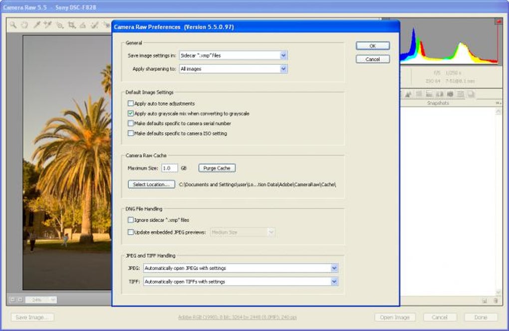 adobe camera raw download for photoshop 7