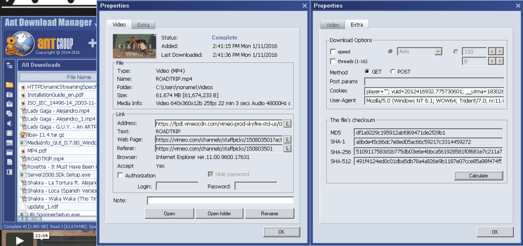 ant video downloader for internet explorer windows 8