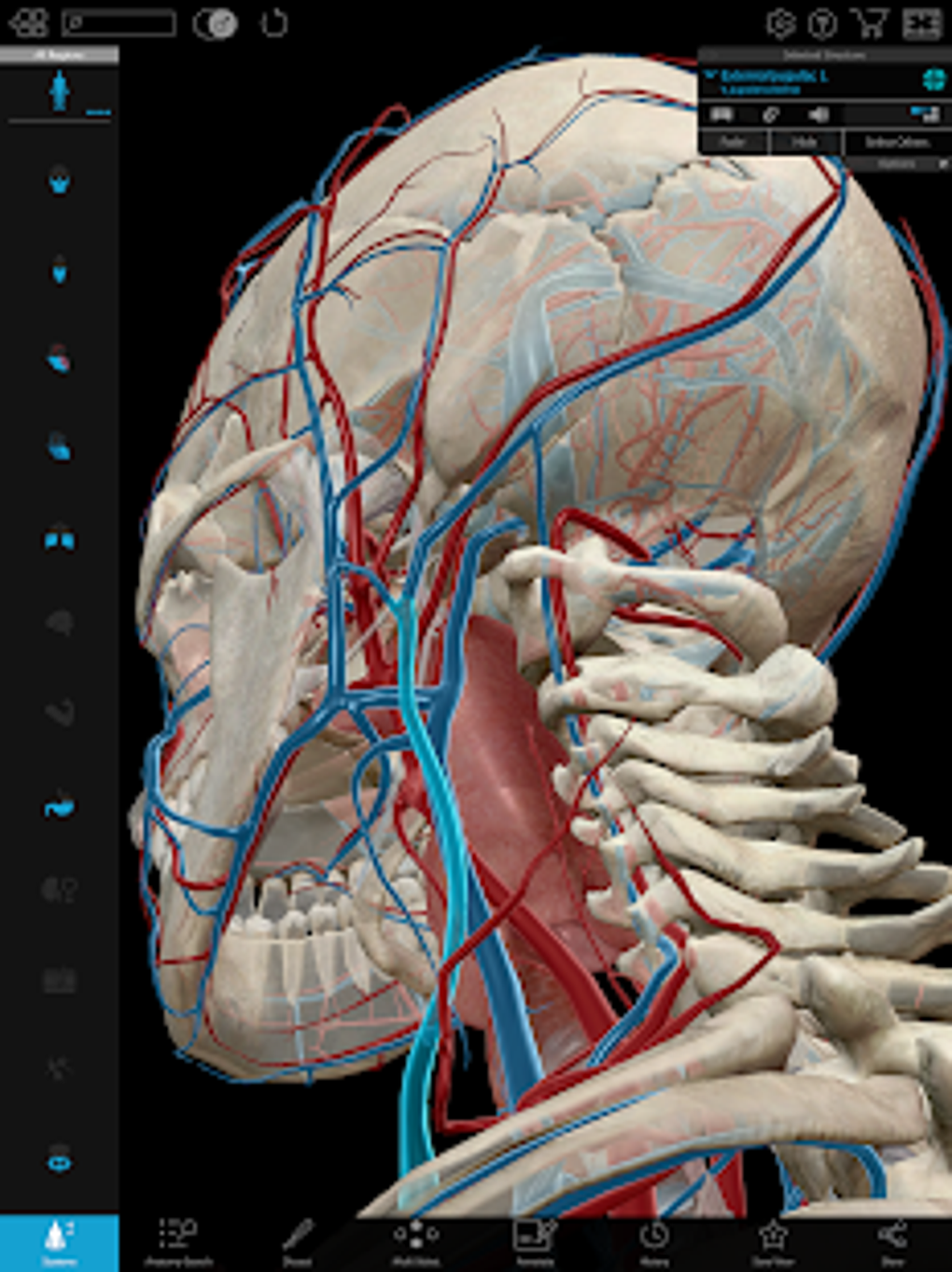 Launch Human Anatomy Atlas Gratuit YMYBYM Launch Human Anatomy Atlas Gratuit YMYBYM