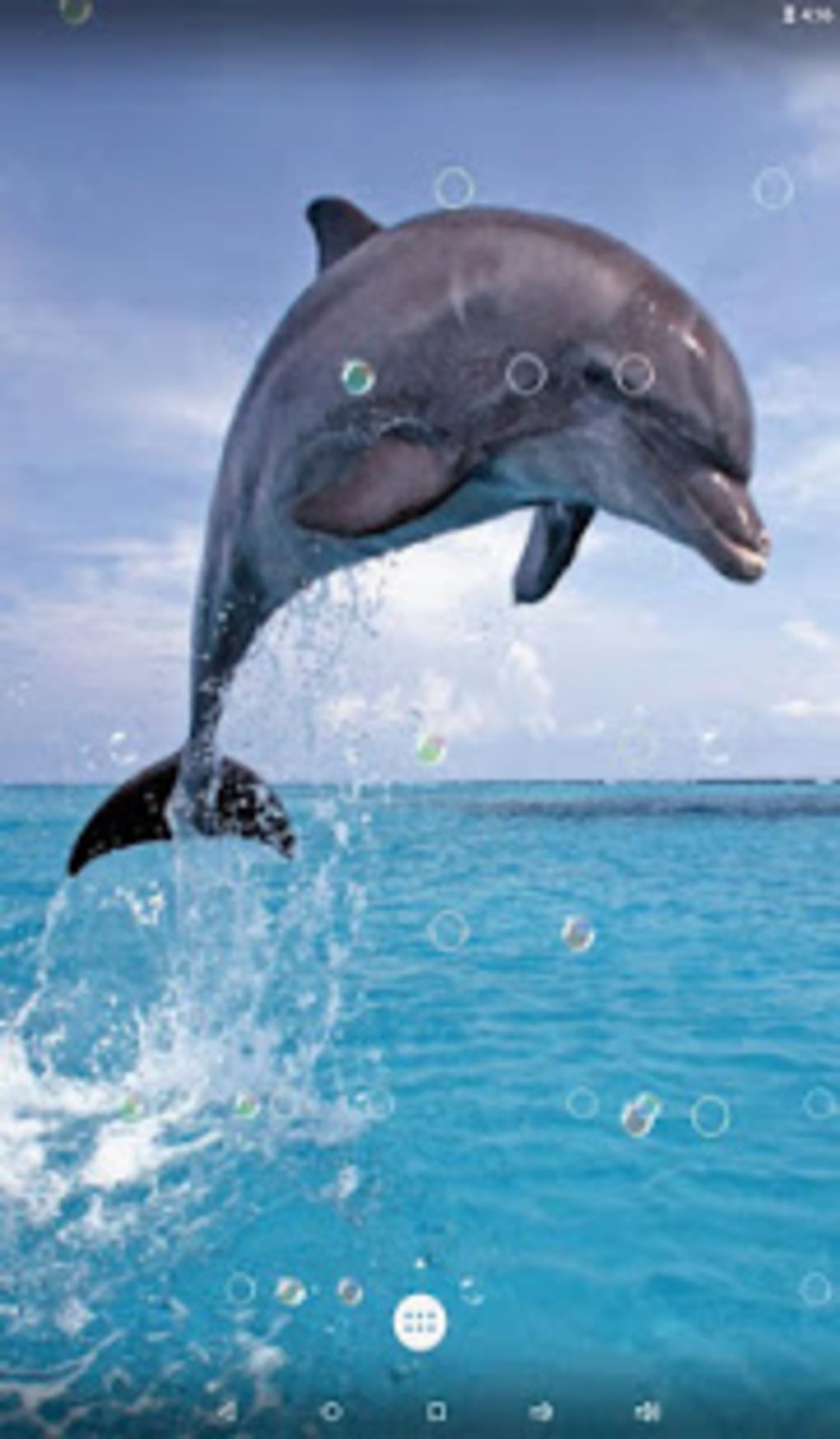 Vivid Dolphin Wallpaper APK for Android Download