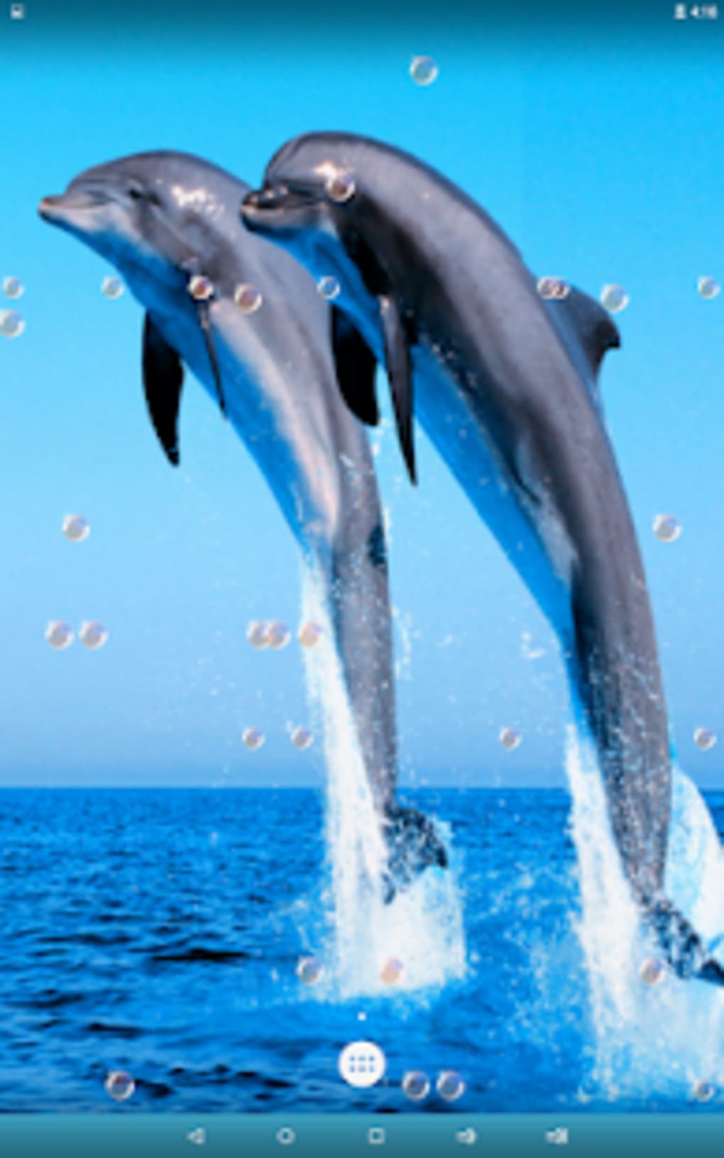 Dolphin Live Wallpaper APK for Android - Download