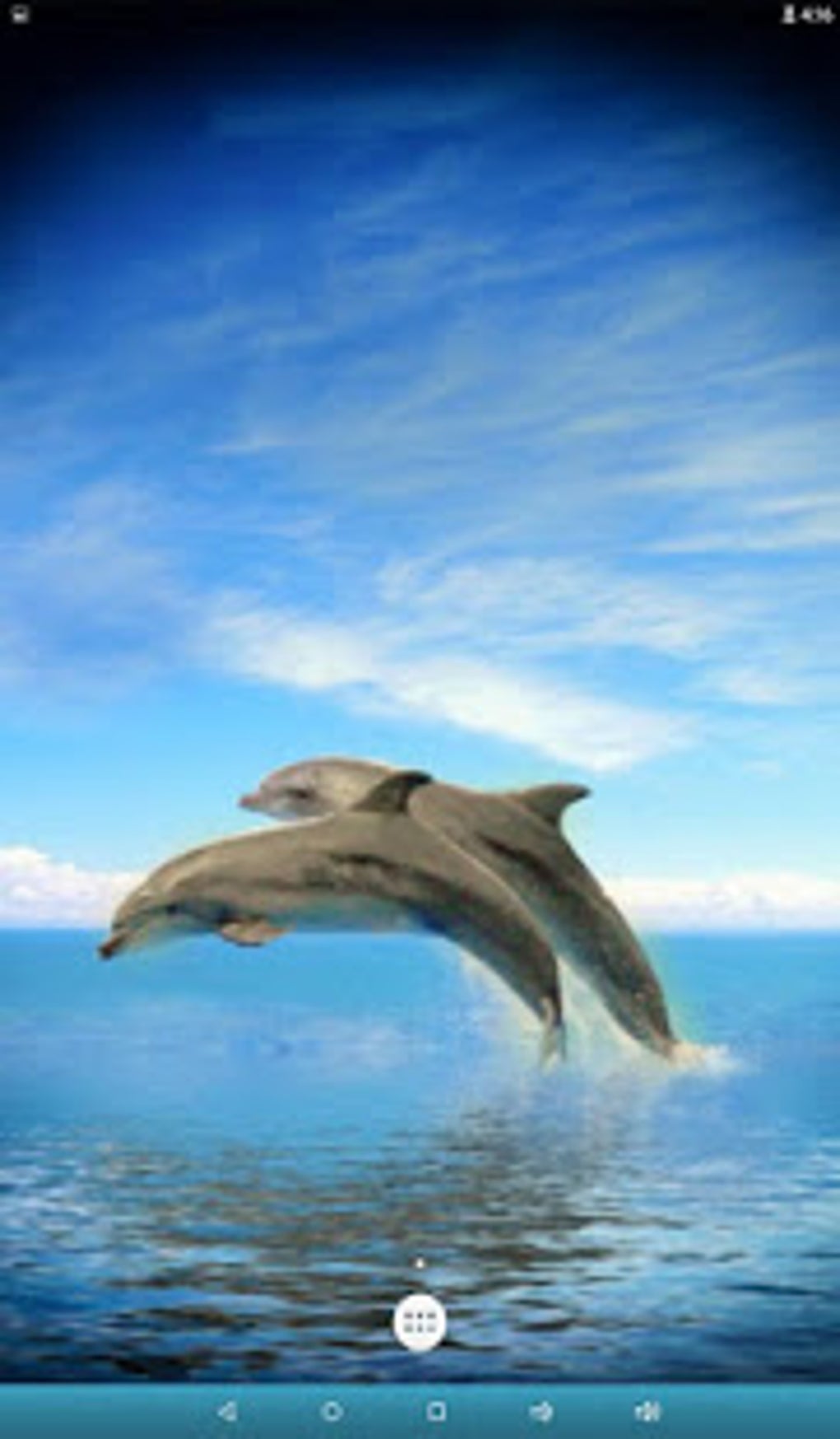 Dolphins Live Wallpaper - APK Download for Android