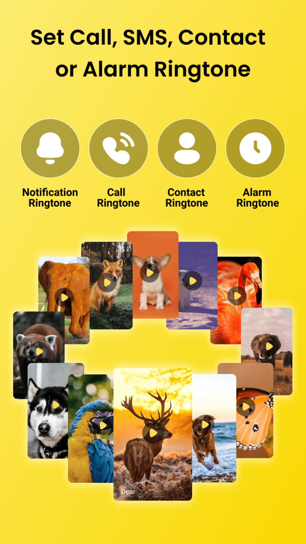 Animal Sounds Bird Ringtones for Android - Download
